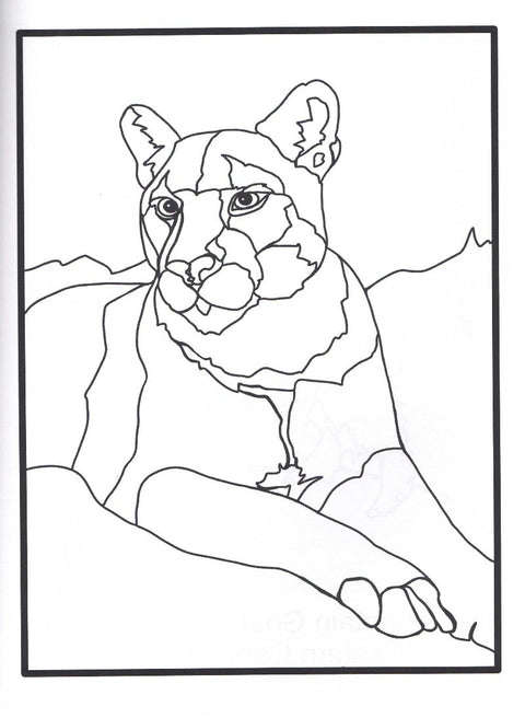 Endangered Animals of North America Colouring Book - Arts and Heritage St. Albert