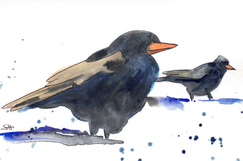 'Bird Series' Original Art Cards 2 Crows - Arts and Heritage St. Albert