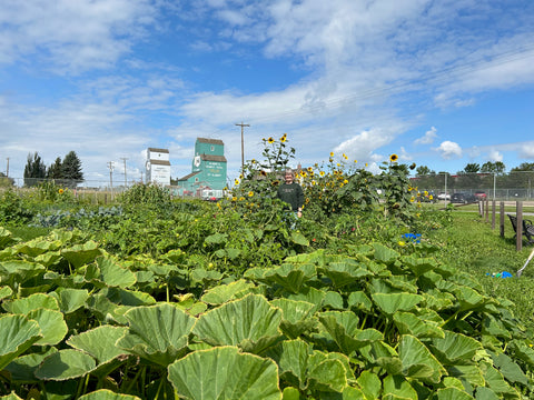 Pest Management - Arts and Heritage St. Albert