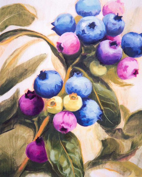 'Colourful Blueberries' Fine Art Print by Hanna Dotzenroth - Arts and Heritage St. Albert