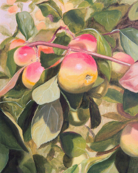 'Crisp Apple' Fine Art Print by Hanna Dotzenroth - Arts and Heritage St. Albert