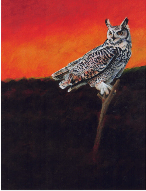 'Birds and Butterflies' Art Prints by Teresa Stieben Great Horned Owl - Arts and Heritage St. Albert