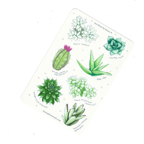 Sticker Sheets by Hanna Dotzenroth Succulents - Arts and Heritage St. Albert