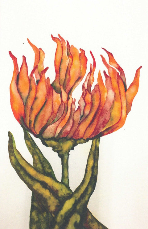 Art Cards by Rhonda Vickers Tulip Study - Arts and Heritage St. Albert